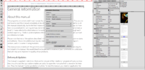 VIVA Finanzdienstleistungen: Währungs- und Zahlungssystem mit VIVA-Punkten